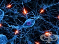 ����������� ����������� ��� �� �����������